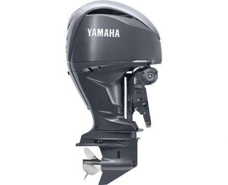 Yamaha F300 Noir/gris 2021